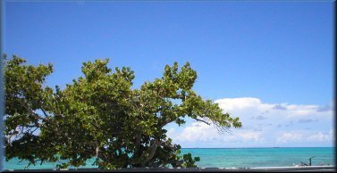 Bahama islands turquoise waters